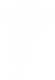HTK Logo White Transparent